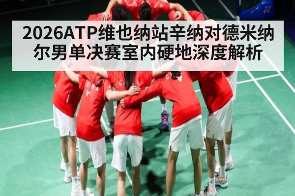 2026ATP维也纳站辛纳对德米纳尔男单决赛室内硬地深度解析